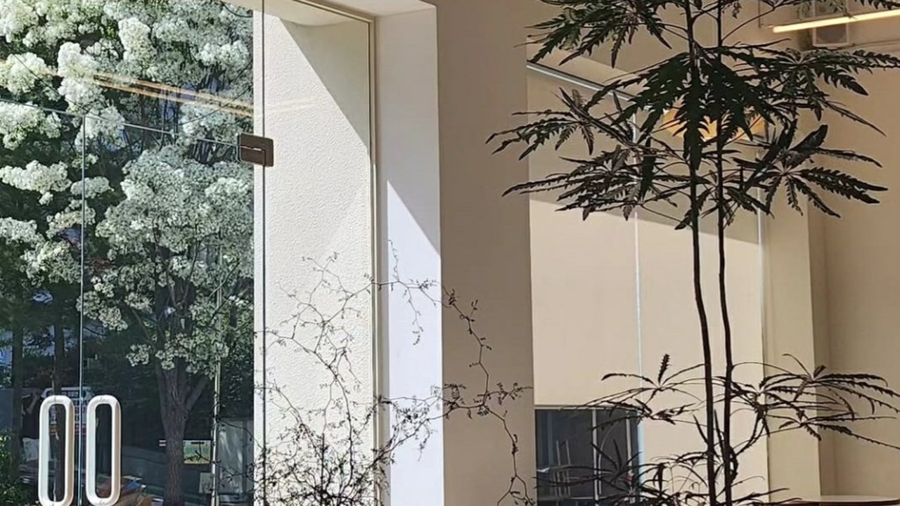 오프유