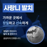 서울식플란트치과의원