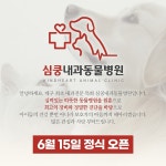심쿵내과동물병원