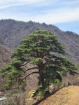 베베카크린