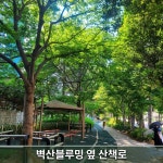 안성부동산공인중개사사무소