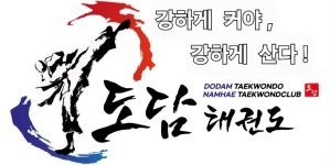 도담태권도
