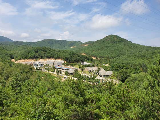 바우 사진
