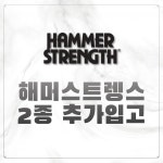 엔엘휘트니스 분당이매점