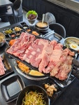 꼴통갈매기