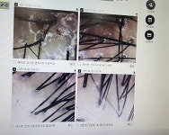 기노 상인점