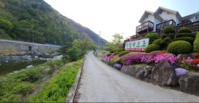 정선 자연속으로 펜션