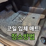 워시랜드 진영점