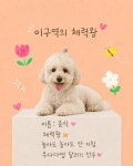 애견유치원 우다다멍 부천