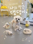 싱글몽글