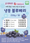 비봉농원 블루베리 체험농장