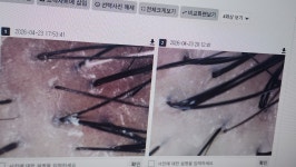 기노 상인점