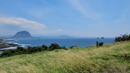 사우스사계 제주