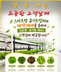 정가네정돈계