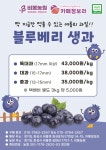 비봉농원 블루베리 체험농장