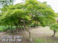 주식회사 일송푸드 | 일송농원