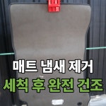 워시랜드 진영점