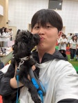 라이크어독