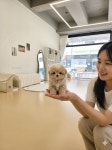 남양주강아지분양 리틀포우즈