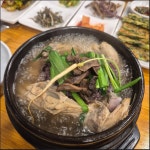 산야초