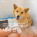 24아프리카동물메디컬센터