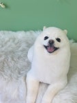 그루아미