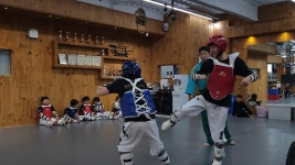 용인대 블루드래곤태권도