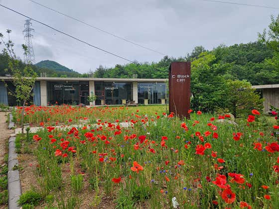 담유 사진