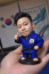 개포유도관