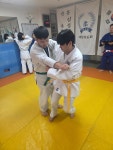 개포유도관