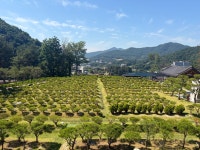 무량수목장
