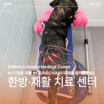 24아프리카동물메디컬센터