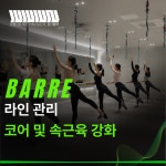 팀터틀랫 세류권선점