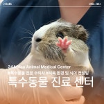 24아프리카동물메디컬센터