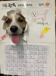 독특하개