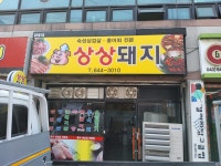 상상돼지