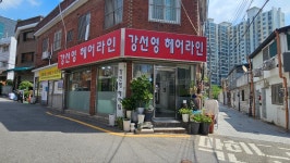 강선영헤어라인
