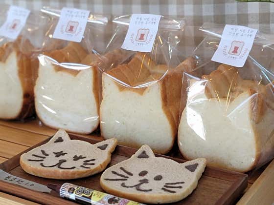 그림빵집 사진