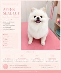 투숑펫살롱