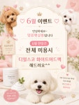 멍뭉펫살롱