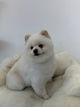 멍데이