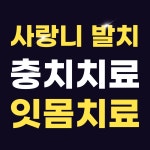 천안365치과의원