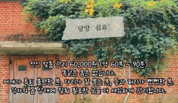 쉼표
