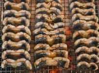 우담명품한우&팔팔풍천민물장어