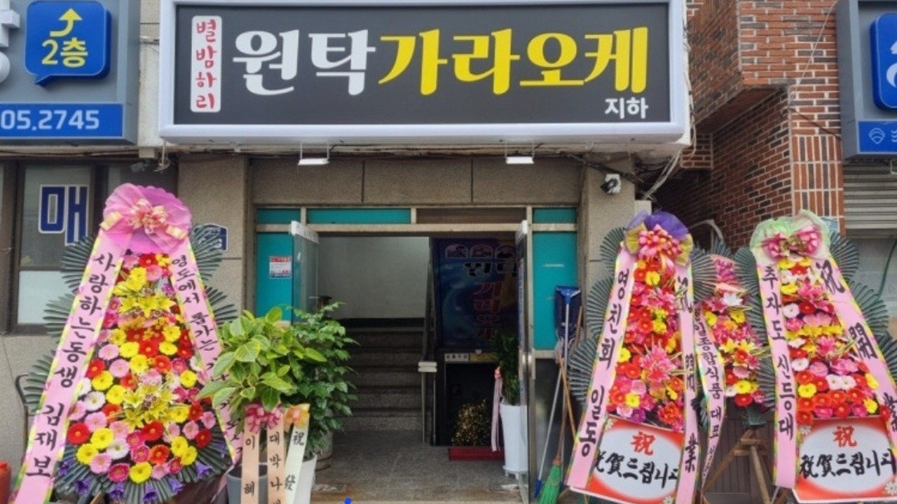 별밤하리