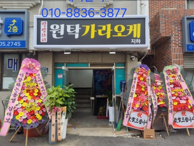 별밤하리