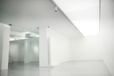 RNL 로즈앤라임 갤러리