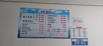 조은홍어