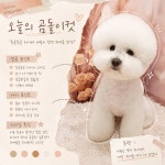투숑펫살롱