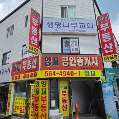 구리생명나무교회